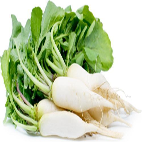 Buy Radish online from shops near you LoveLocal